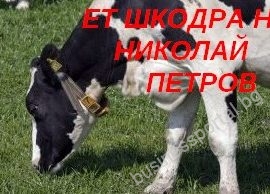 ЕТ ШКОДРА Н НИКОЛАЙ ПЕТРОВ – Животновъдство – с. Комарево – ПРЕКРАТИЛ ДЕЙНОСТ