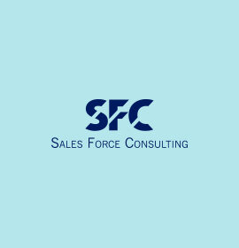 Sales Force Consulting