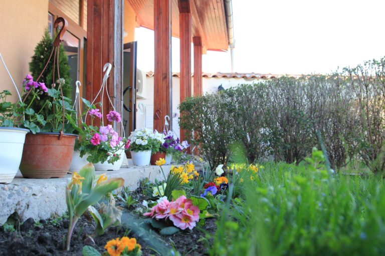 Дом за стари хора Свети Димитър 2017 с. Калековец 2 768x512